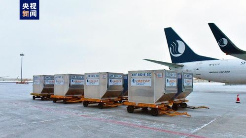 新疆首條定期國際貨運航線正式通航，年貨運吞吐量預計達3000噸